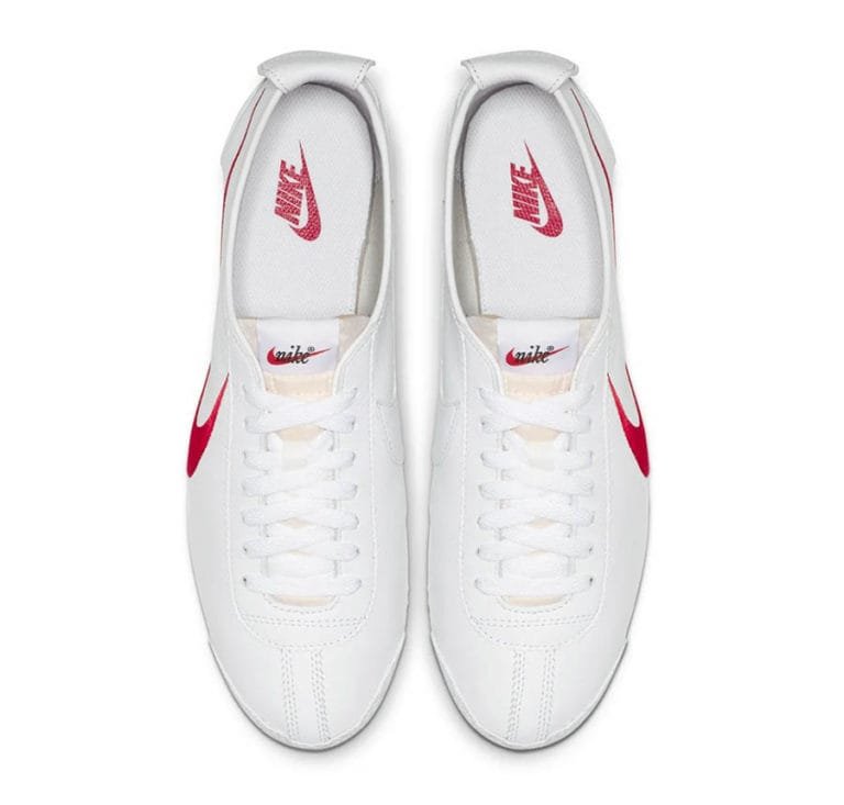 nike cortez chien