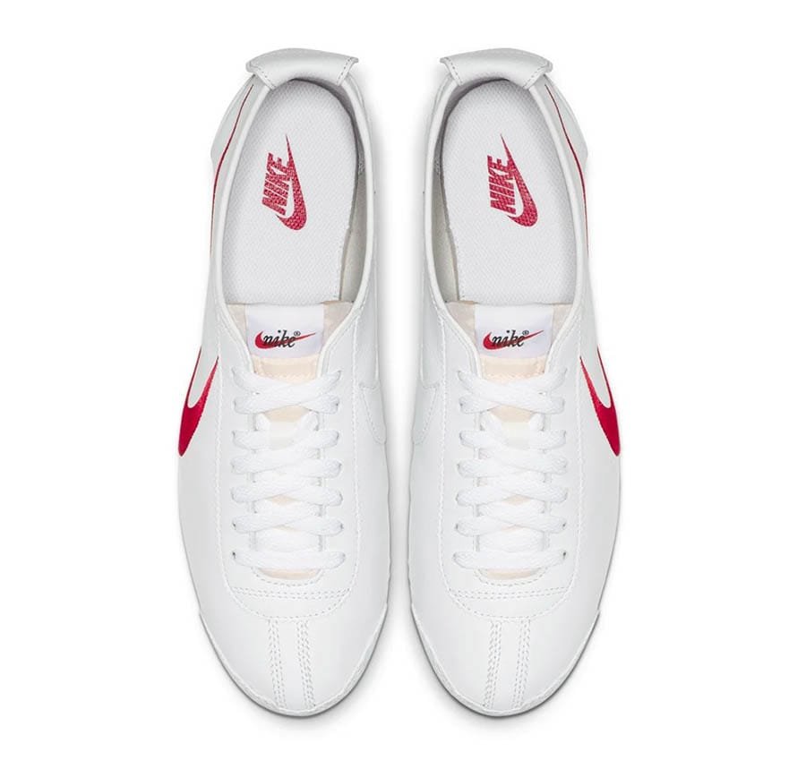 nike cortez chien