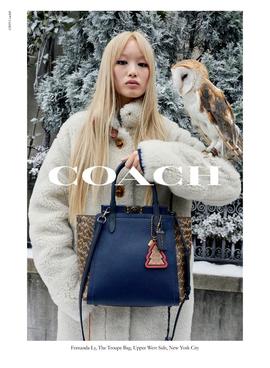Coach Campagne de Noël 2019 7 Coach Campagne de Noël 2019