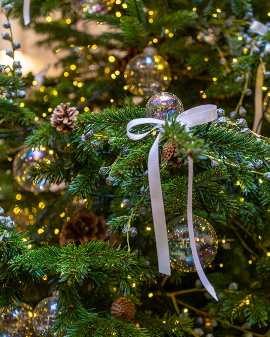 Rocco Forte Hotels Sapin Browns Hotel Londres 1 Rocco Forte Hotels - Sapin Brown’s Hotel Londres