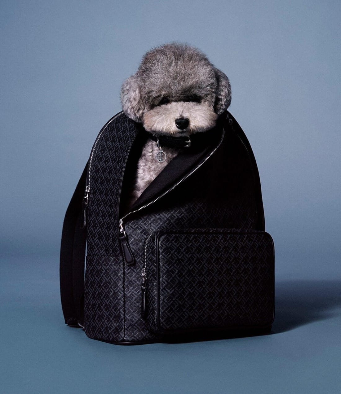 dunhill Campagne Holiday 2020 5 dunhill - Campagne Holiday 2020