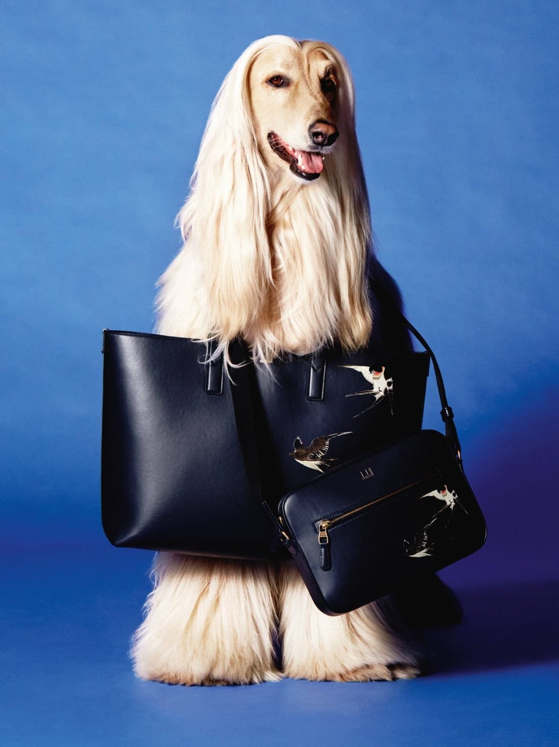 dunhill Campagne Holiday 2020 8 dunhill - Campagne Holiday 2020