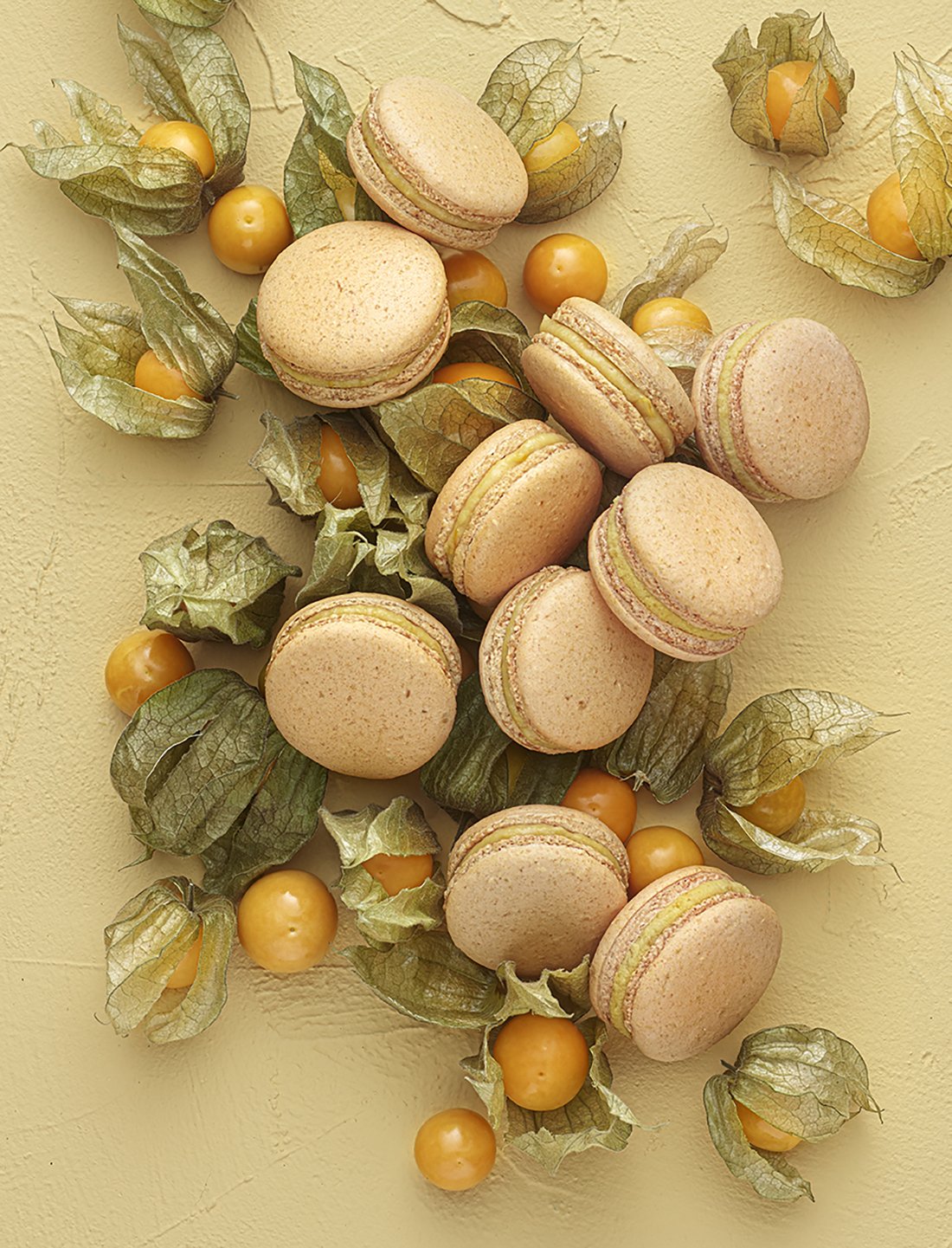 Pierre Herme Macaron Amour en Cage Pierre Hermé - Macaron Amour en Cage