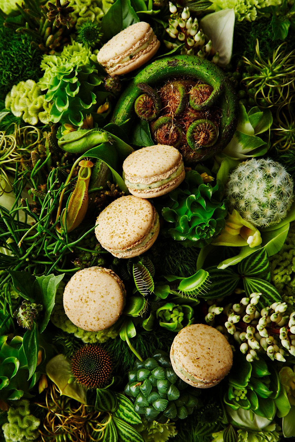 Pierre Herme Macaron Infiniment Jardin dEden Pierre Hermé - Macaron Infiniment Jardin d'Eden