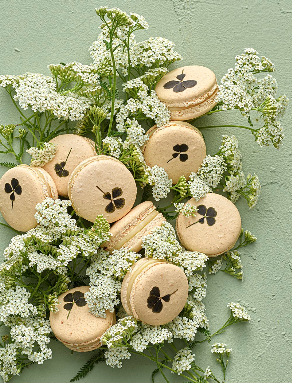 Pierre Herme Macaron Infiniment Jardin des Pres Pierre Hermé - Macaron Infiniment Jardin des Prés