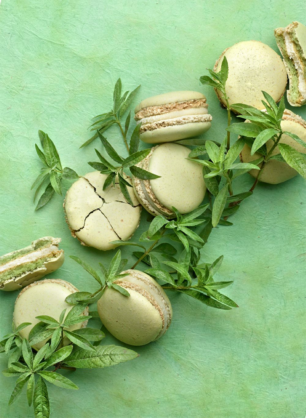 Pierre Herme Macaron Infiniment Verveine Pierre Hermé - Macaron Infiniment Verveine