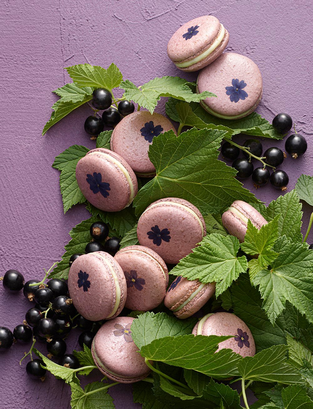 Pierre Herme Macaron Jardin en Bourgogne Pierre Hermé - Macaron Jardin en Bourgogne