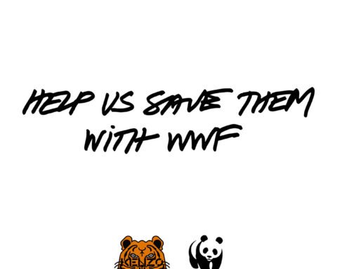 KENZO x WWF 2021