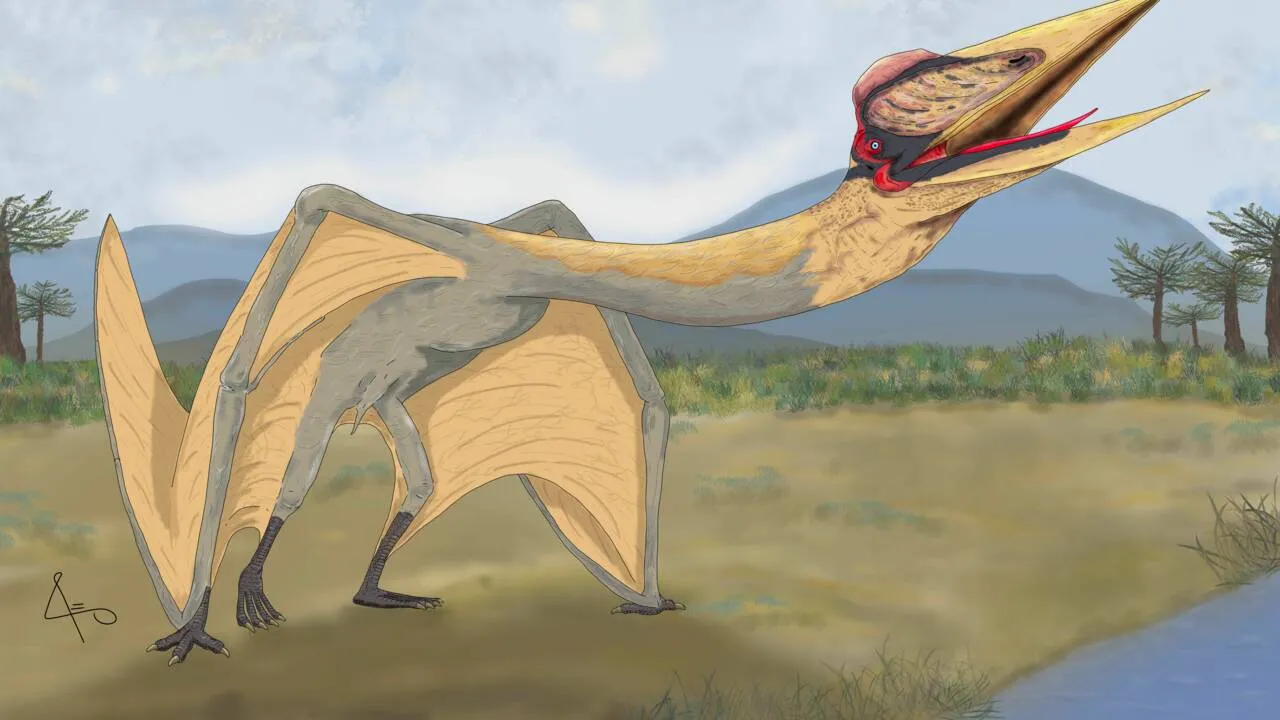 Ptérosaure Dragon of Death