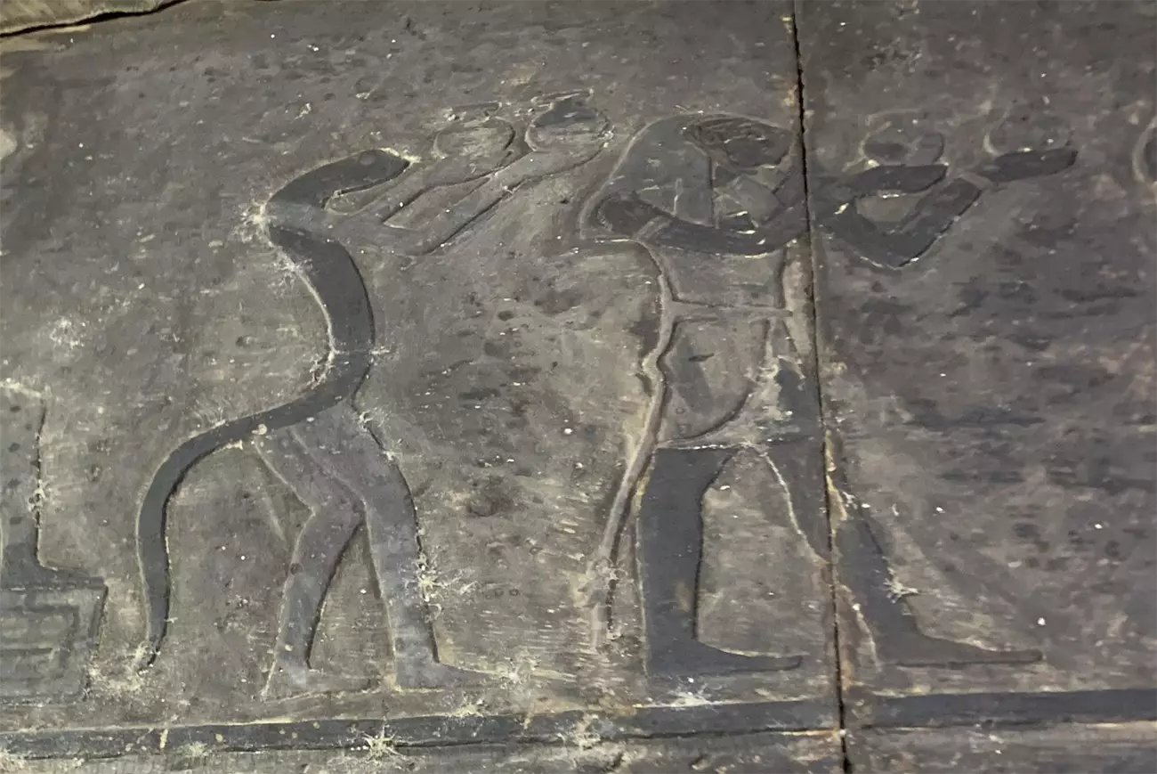 Anciennes peintures murales du zodiaque égyptien au temple d'Esna